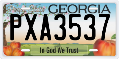 GA license plate PXA3537