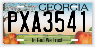 GA license plate PXA3541