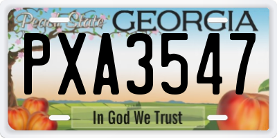 GA license plate PXA3547
