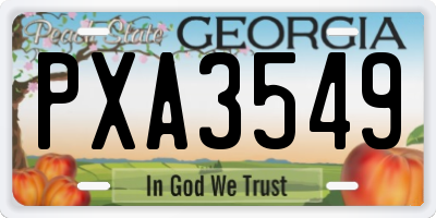GA license plate PXA3549