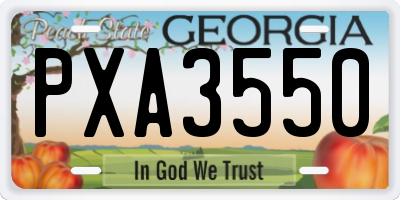 GA license plate PXA3550