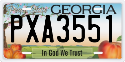 GA license plate PXA3551