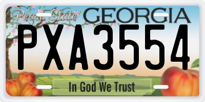 GA license plate PXA3554