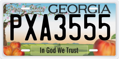 GA license plate PXA3555