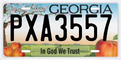 GA license plate PXA3557