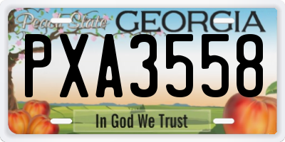 GA license plate PXA3558