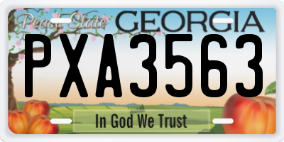 GA license plate PXA3563
