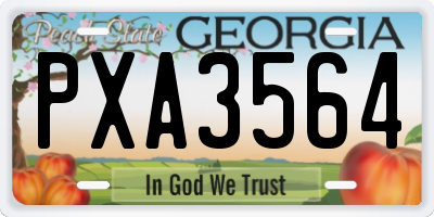 GA license plate PXA3564