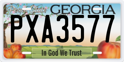GA license plate PXA3577