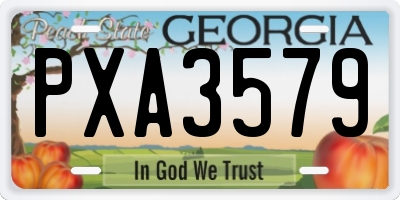 GA license plate PXA3579