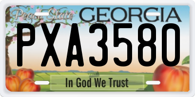 GA license plate PXA3580