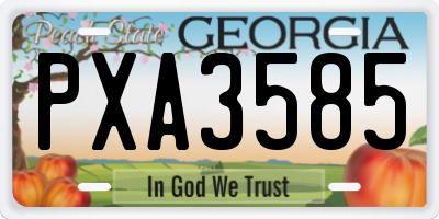 GA license plate PXA3585