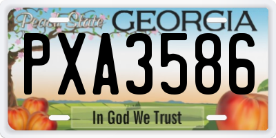 GA license plate PXA3586