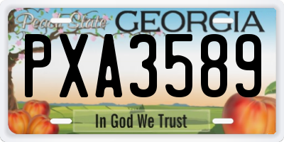 GA license plate PXA3589