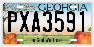 GA license plate PXA3591