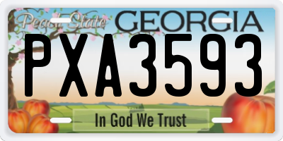 GA license plate PXA3593