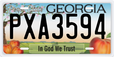 GA license plate PXA3594
