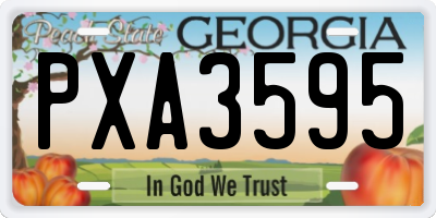 GA license plate PXA3595