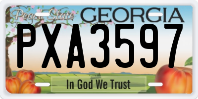 GA license plate PXA3597