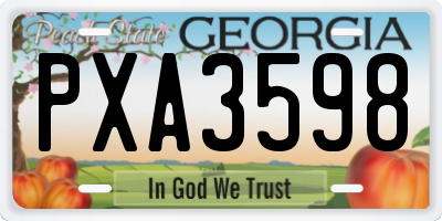GA license plate PXA3598