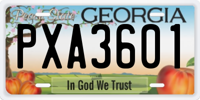 GA license plate PXA3601