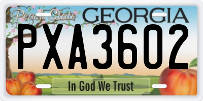 GA license plate PXA3602