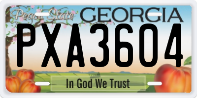 GA license plate PXA3604