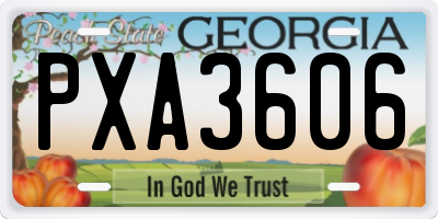 GA license plate PXA3606