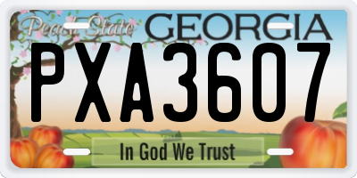 GA license plate PXA3607