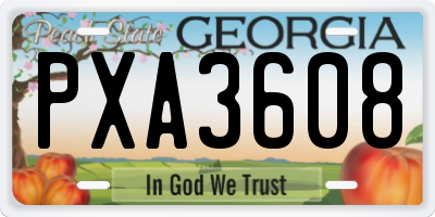 GA license plate PXA3608