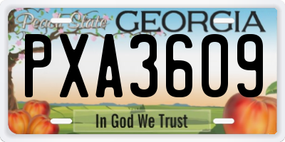 GA license plate PXA3609