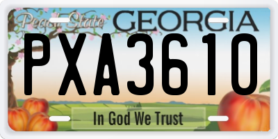 GA license plate PXA3610