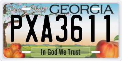 GA license plate PXA3611