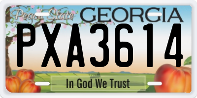 GA license plate PXA3614