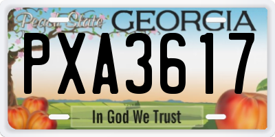 GA license plate PXA3617