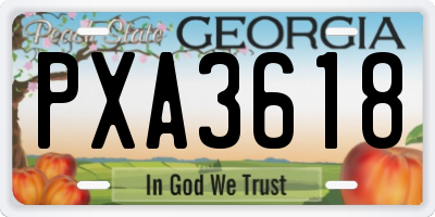 GA license plate PXA3618