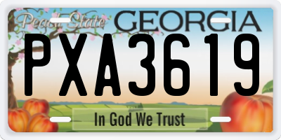 GA license plate PXA3619
