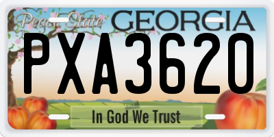 GA license plate PXA3620