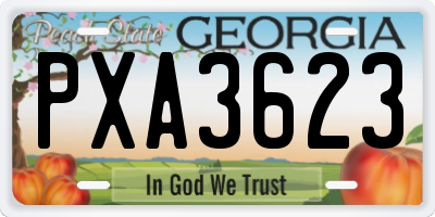 GA license plate PXA3623