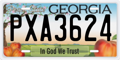 GA license plate PXA3624