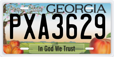 GA license plate PXA3629