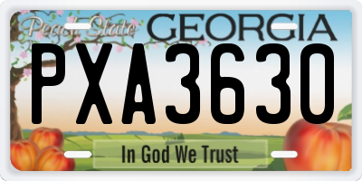GA license plate PXA3630