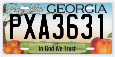 GA license plate PXA3631