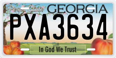 GA license plate PXA3634