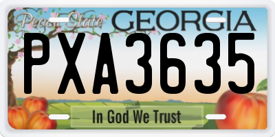 GA license plate PXA3635