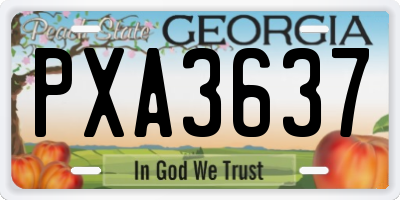 GA license plate PXA3637