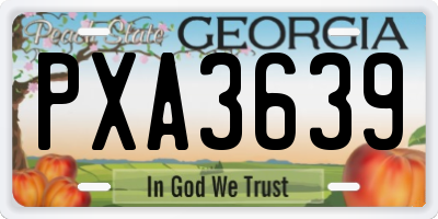 GA license plate PXA3639