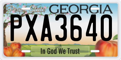 GA license plate PXA3640