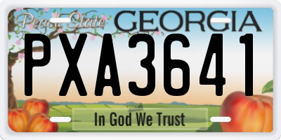 GA license plate PXA3641