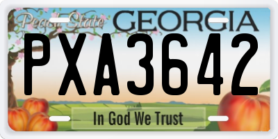 GA license plate PXA3642